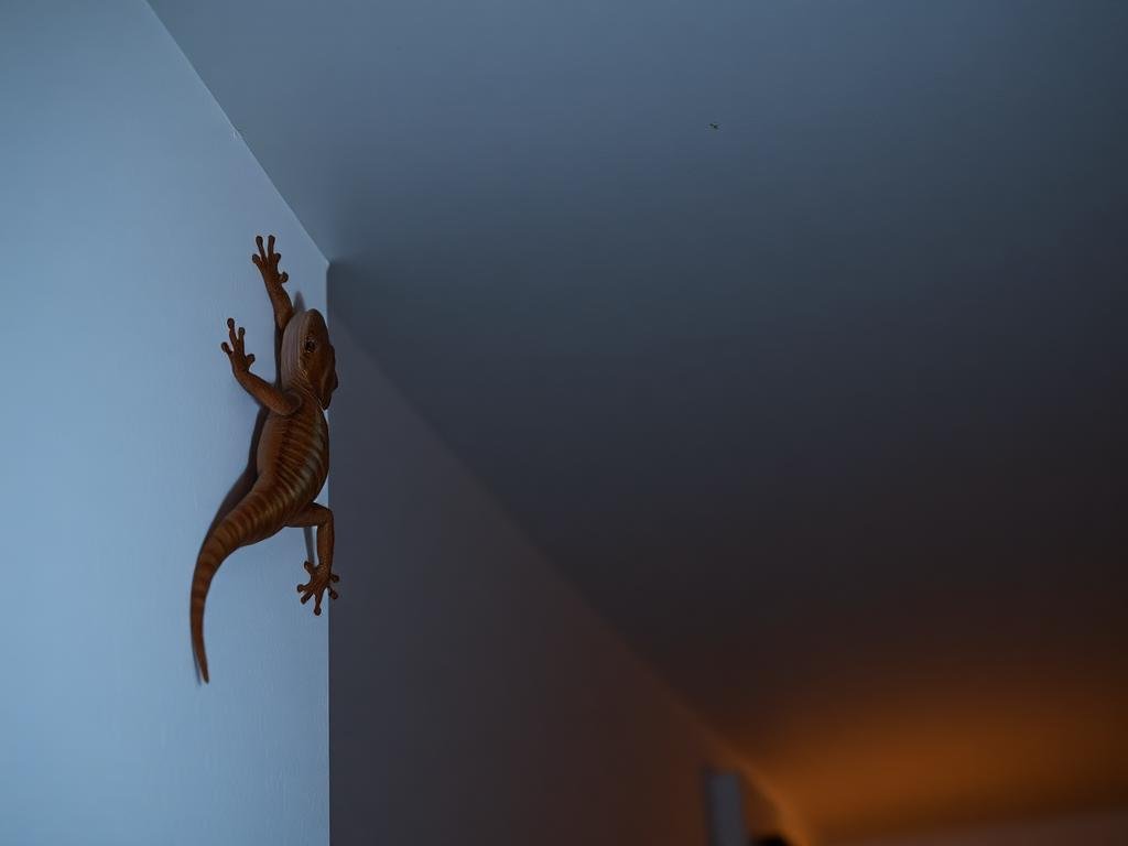 التخلص من الوزغ (أبو بريص): 12 طريقة فعّالة لطرده من المنزل نهائياً